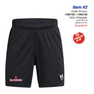 Item 02 Blizzard été short UA 1390105 1390109 2025