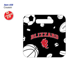 Item 29 Blizzard Coussin 2026